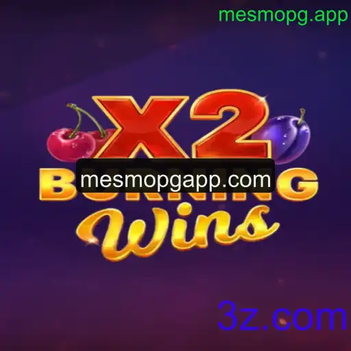 Descubra o Fascinante Mundo de BurningWinsX2